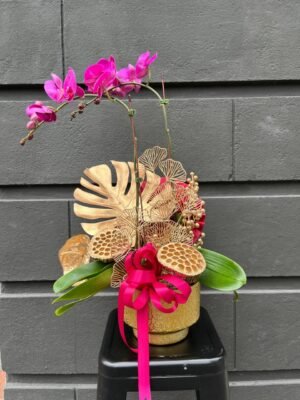 Orchid Bliss