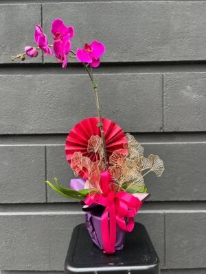 Seri Orchid