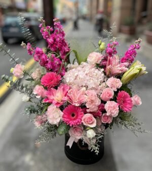 Duchess in Pink - Image 2