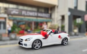 Everlasting Vows Ensemble Wedding Car Decoration